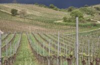 Samsung Galaxy S25 Ultra recenze vinice