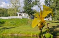 Krajina s vodou, Lotyšsko - recenze Xiaomi 14