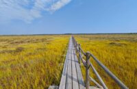 Národní parky Estonsko - recenze Xiaomi 14