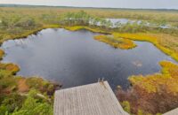 v Tallinnu, Estonsko - recenze Xiaomi 14