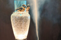 Xiaomi 15T Pro - recenze - váza od Františka Jungvirta