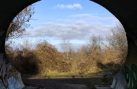 Recenze Xiaomi Redmi Note 14 Pro+ 5G - průhled do lesa