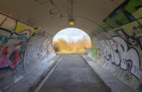 Recenze Xiaomi Redmi Note 14 Pro+ 5G - průhled do lesa