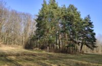 Recenze Xiaomi Redmi Note 14 Pro+ 5G - stromy v Divoké Šárce