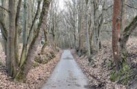 Recenze Xiaomi Redmi Note 14 Pro+ 5G - stromy v Divoké Šárce