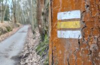 Recenze Xiaomi Redmi Note 14 Pro+ 5G - značka v Divoké Šárce