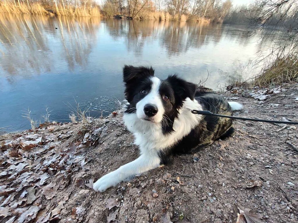 Xiaomi Redmi Note 15 Pro+ 5G - Pes