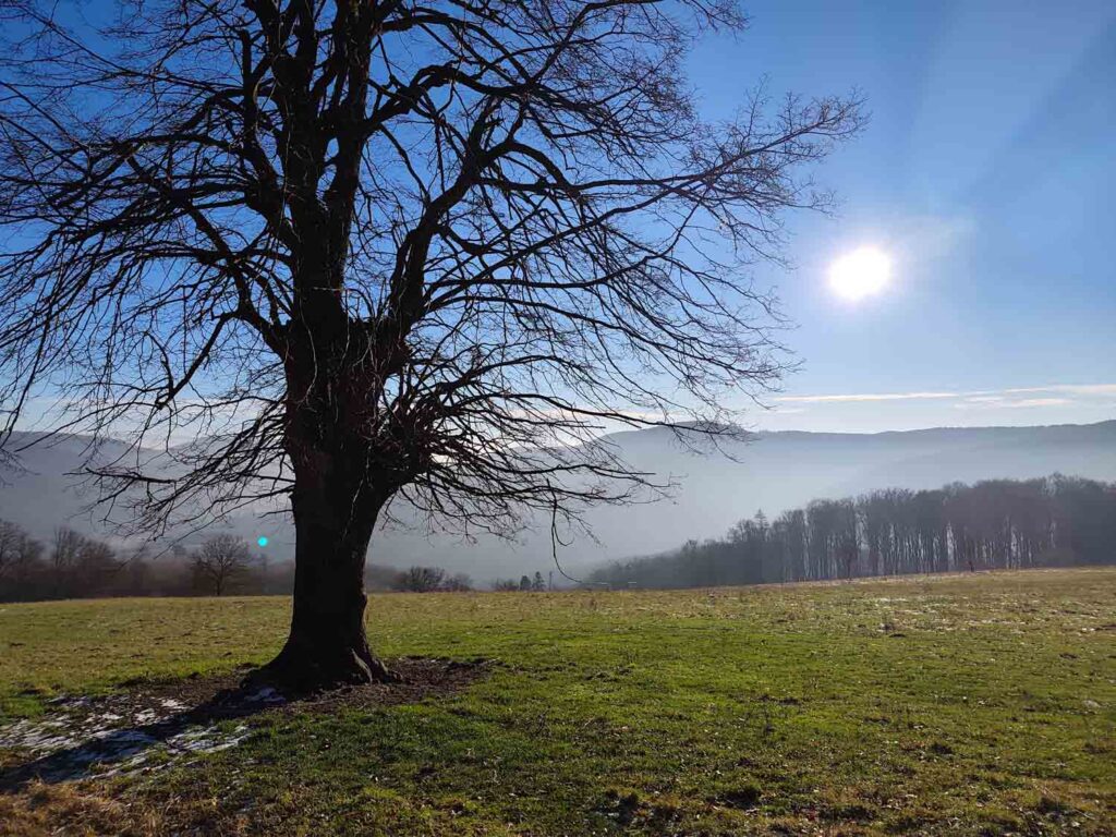 Xiaomi Redmi Note 15 Pro+ 5G - Karpaty