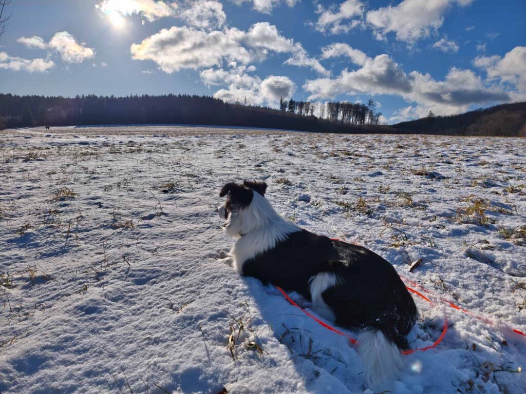 Xiaomi Redmi Note 15 Pro+ 5G - hory