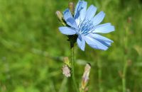 Xiaomi Redmi Note 13 5G - recenze