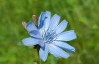 Xiaomi Redmi Note 13 5G - recenze