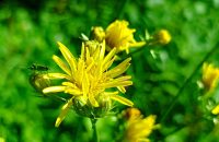 Xiaomi Redmi Note 13 5G - recenze