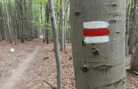 Xiaomi Redmi Note 13 5G - recenze