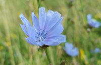 Xiaomi Redmi Note 13 5G - recenze