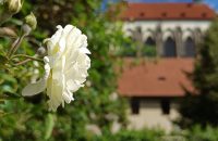 Xiaomi Redmi Note 13 5G - recenze