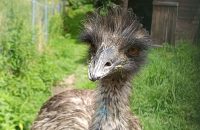 Xiaomi Redmi Note 13 5G - recenze