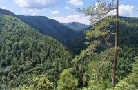 Xiaomi Redmi Note 13 5G - recenze