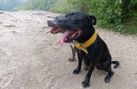 Xiaomi Redmi Note 13 5G - recenze