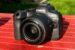 Canon R6 Mark II – první dojmy: lepší snímač, ostření, rychlost (+ video)