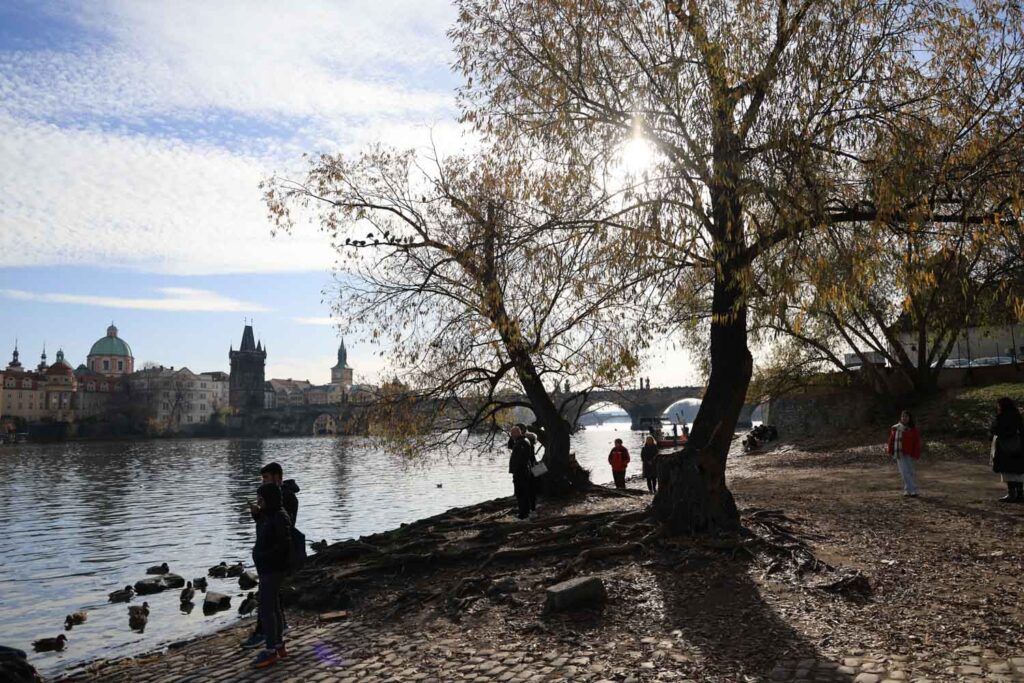 Canon R6 Mark III recenze - Praha