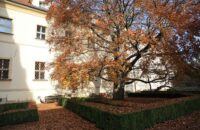 Canon R6 Mark III recenze - Praha - zahrada