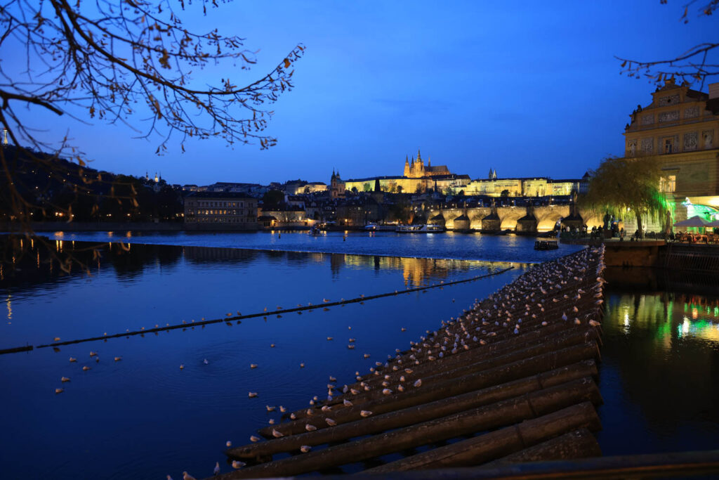 Canon R6 Mark III recenze - Praha