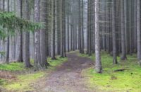 Canon R6 Mark III recenze - les