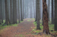 Canon R6 Mark III recenze - les