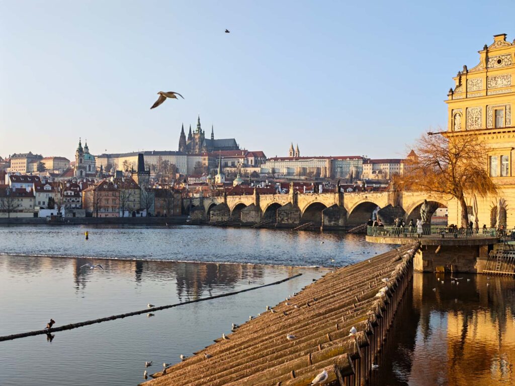 Honor Magic8 Pro - recenze - Vltava