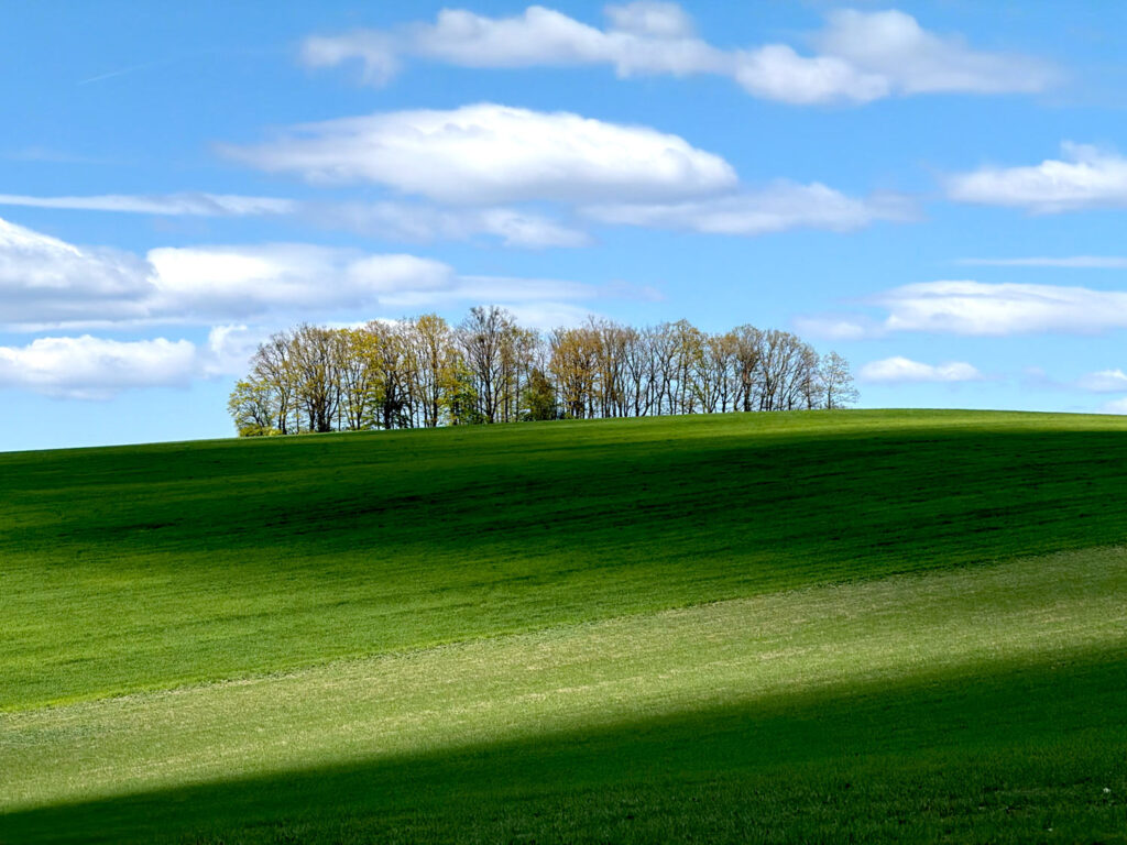 Třídění archivů - krajina iPhonem