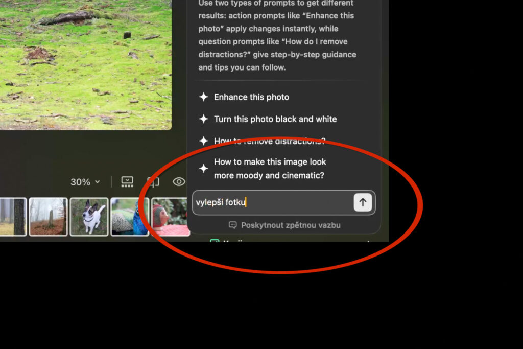 Luminar Neo a AI Asistent - základní pokyn