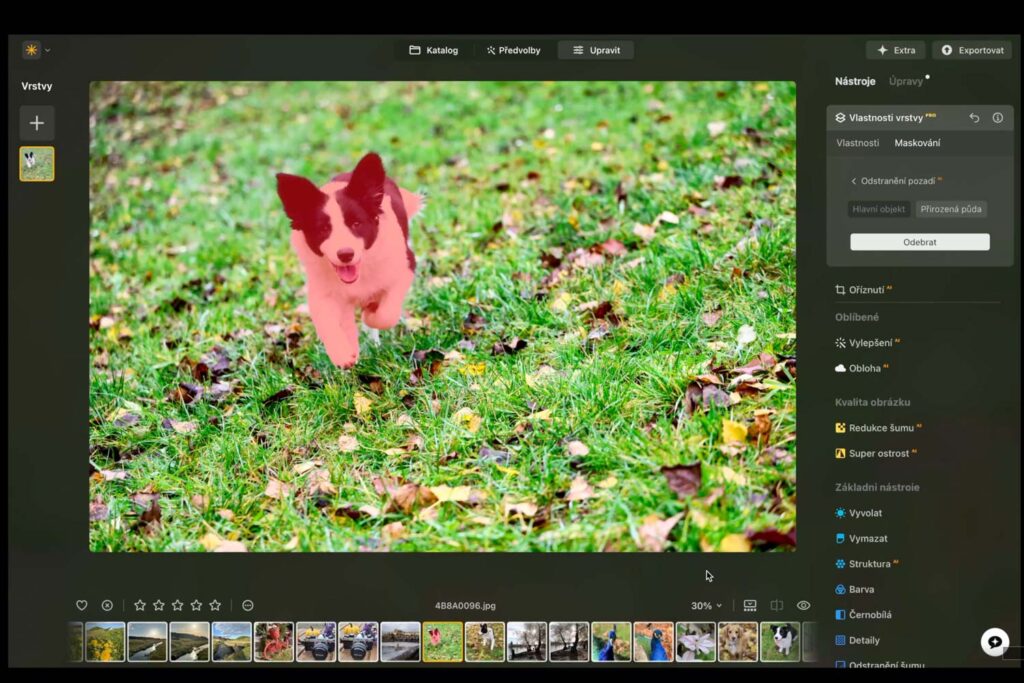 Luminar Neo a AI Asistent - výběr psa
