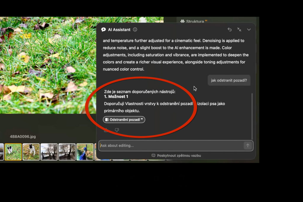Luminar Neo a AI Asistent - návrh na úpravy