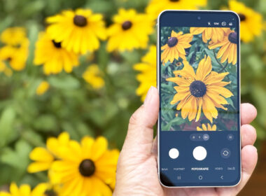 Samsung A56 a květiny - recenze