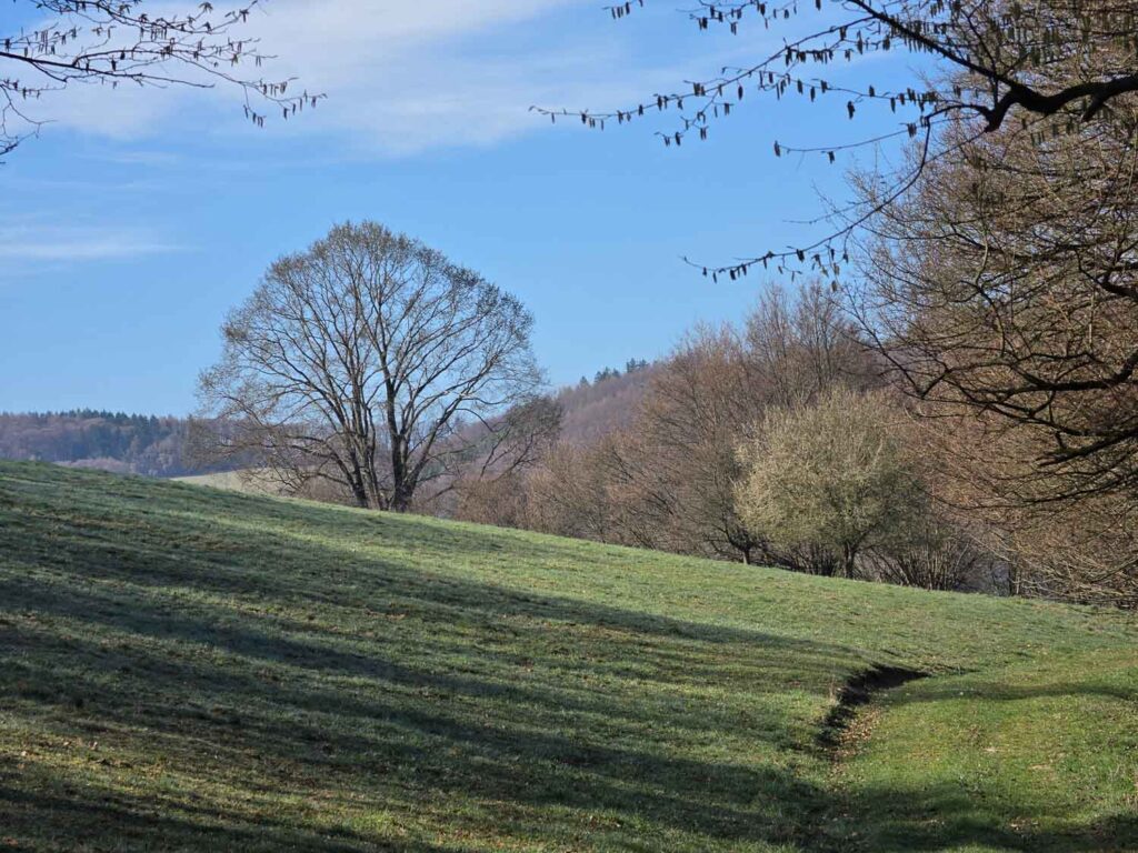 Samsung Galaxy S26 Recenze - krajina na Valašsku