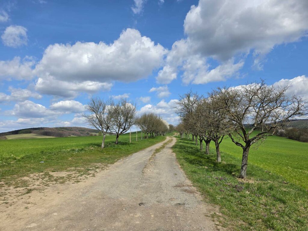 Samsung Galaxy S26 Recenze - krajina na Valašsku