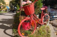 Xiaomi 15T recenze fotoaparátu - zahrady