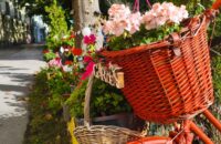 Xiaomi 15T recenze fotoaparátu - zahrady