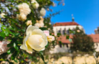 Xiaomi 15T recenze fotoaparátu - zahrady