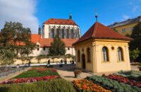 Xiaomi 15T recenze fotoaparátu - zahrady