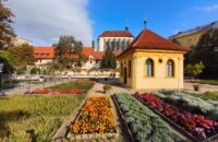 Xiaomi 15T recenze fotoaparátu - zahrady