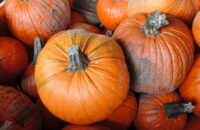 Xiaomi 15T recenze fotoaparátu - dýně