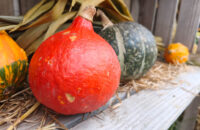 Xiaomi 15T recenze fotoaparátu - dány