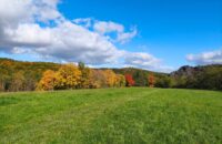 Xiaomi 15T recenze fotoaparátu - podzimní barvy