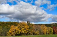 Xiaomi 15T recenze fotoaparátu - podzimní barvy