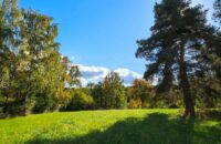 Xiaomi 15T recenze fotoaparátu - podzimní barvy