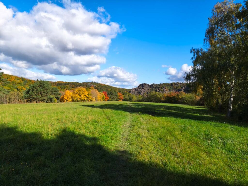 Xiaomi 15T recenze fotoaparátu - podzimní barvy