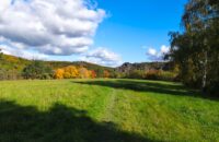 Xiaomi 15T recenze fotoaparátu - podzimní barvy