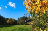 Xiaomi 15T recenze fotoaparátu - podzimní barvy