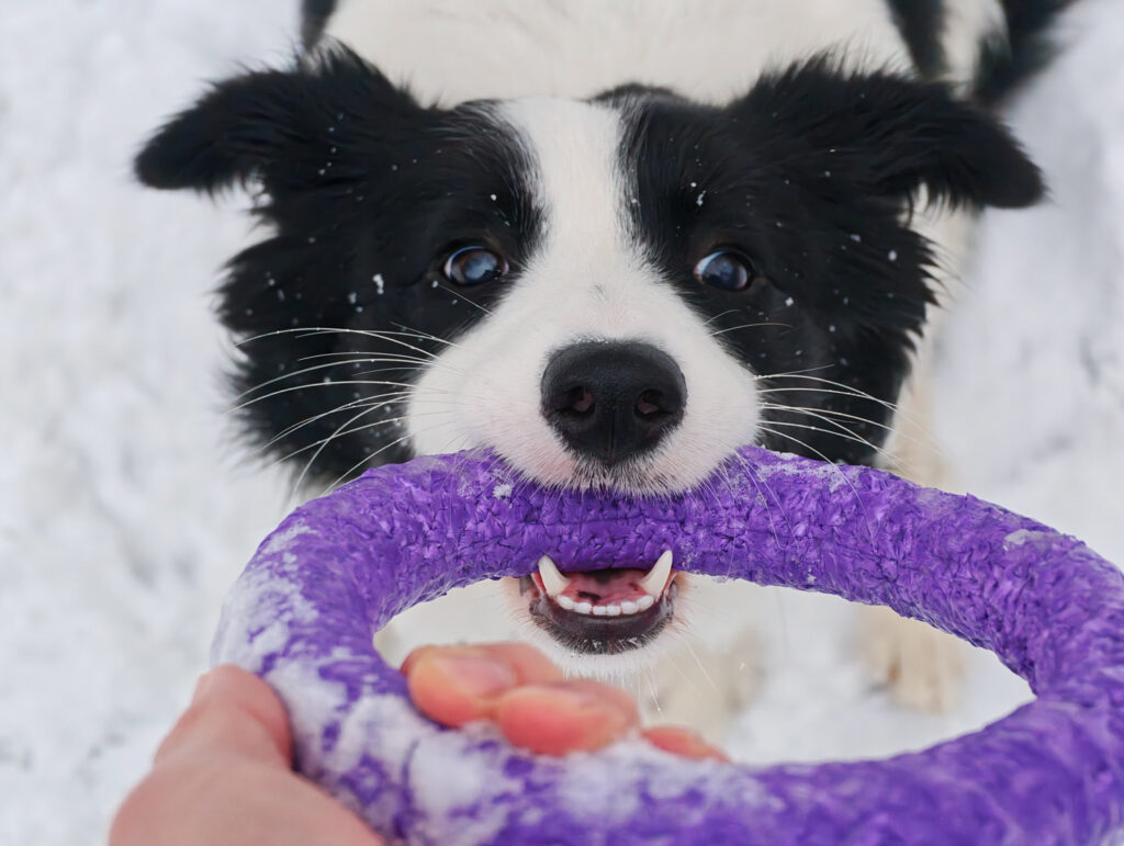 Recenze Xiaomi 17 Ultra - pes